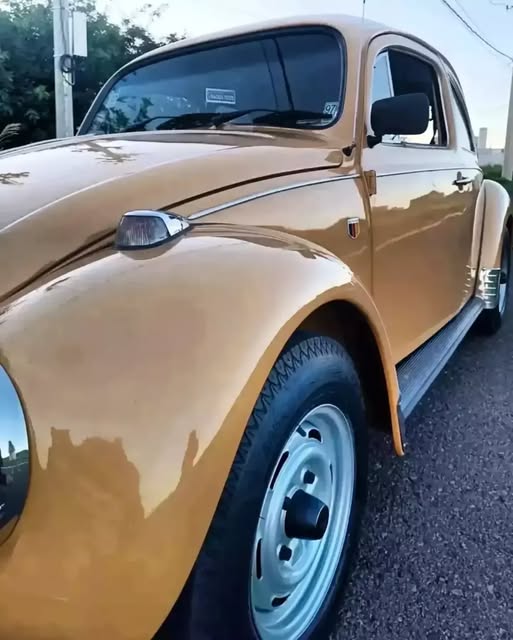 VOLKSWAGEN FUSCA - Imagem 16