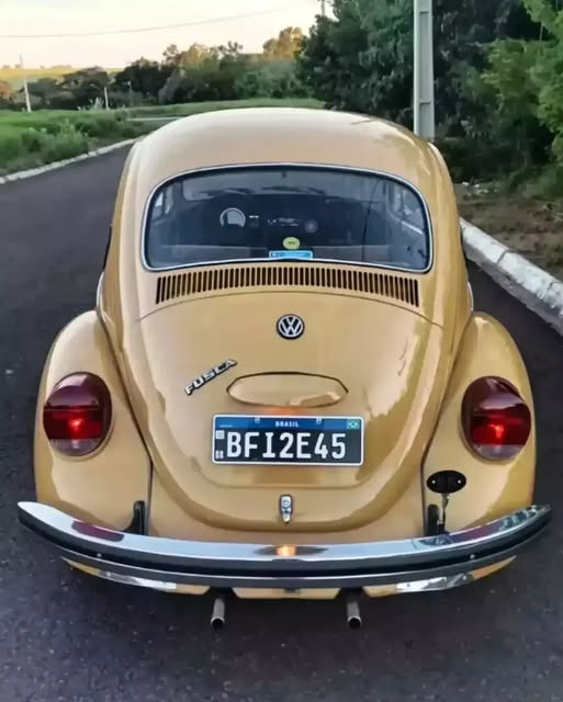 VOLKSWAGEN FUSCA - Imagem 6