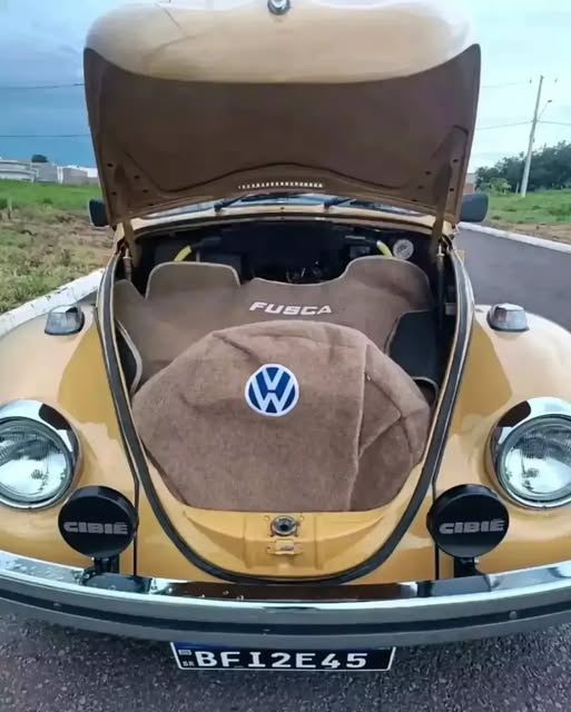 VOLKSWAGEN FUSCA - Imagem 7