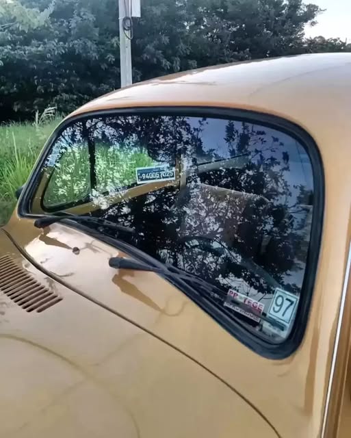 VOLKSWAGEN FUSCA - Imagem 8
