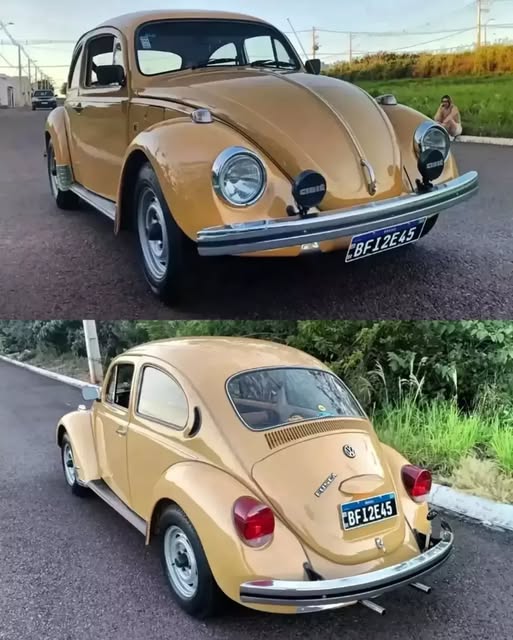 VOLKSWAGEN FUSCA - Imagem 10