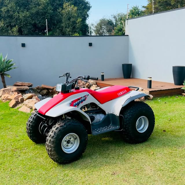 YAMAHA BREEZE 125 - Imagem 2