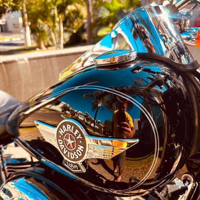 HARLEY-DAVIDSON FAT BOY - Imagem 6