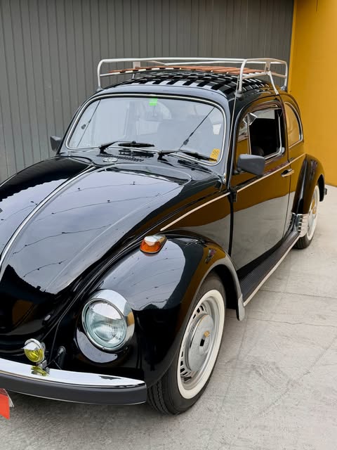 VOLKSWAGEN FUSCA - Imagem 7