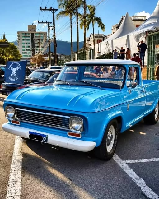 CHEVROLET C10 - Imagem 2