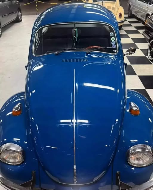 VOLKSWAGEN FUSCA - Imagem 10
