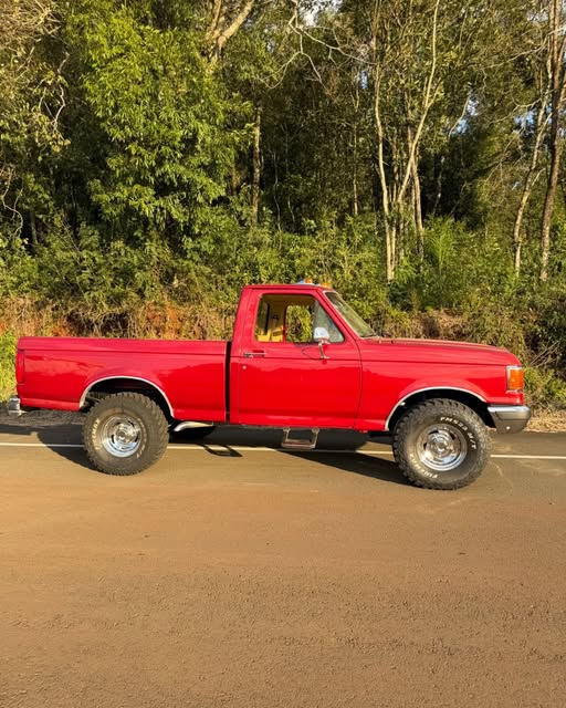 FORD F-1000 SUPER SÉRIE - Imagem 3