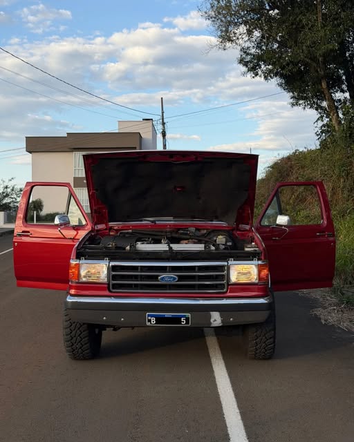 FORD F-1000 SUPER SÉRIE - Imagem 10