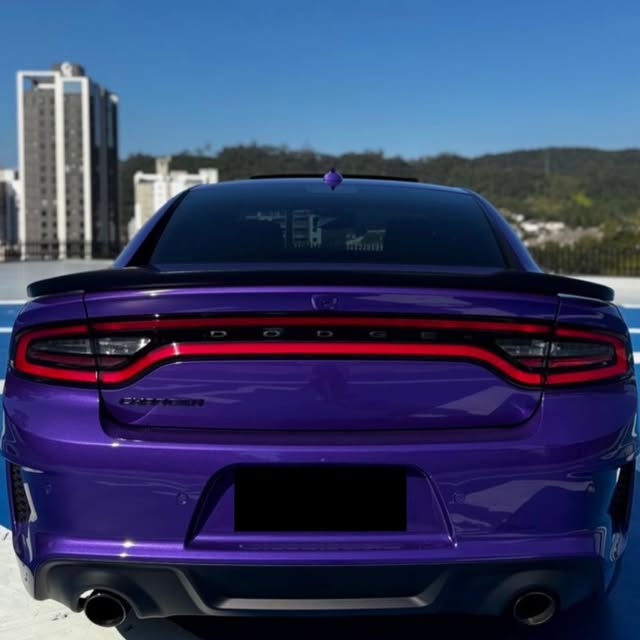 DODGE CHARGER SUPERBEE - Imagem 17
