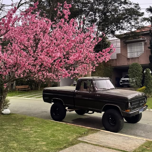 FORD F-1000 - Imagem 5