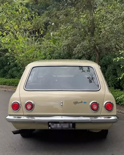 CHEVROLET CARAVAN DE LUXO - Imagem 7