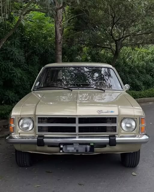 CHEVROLET CARAVAN DE LUXO - Imagem 9