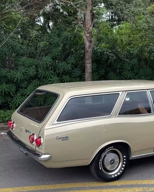 CHEVROLET CARAVAN DE LUXO - Imagem 10