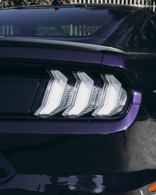 FORD MUSTANG MACH 1 - Imagem 10