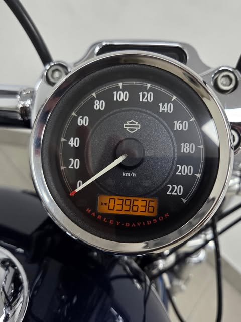 HARLEY-DAVIDSON SPORTSTER XL1200 CUSTOM - Imagem 14