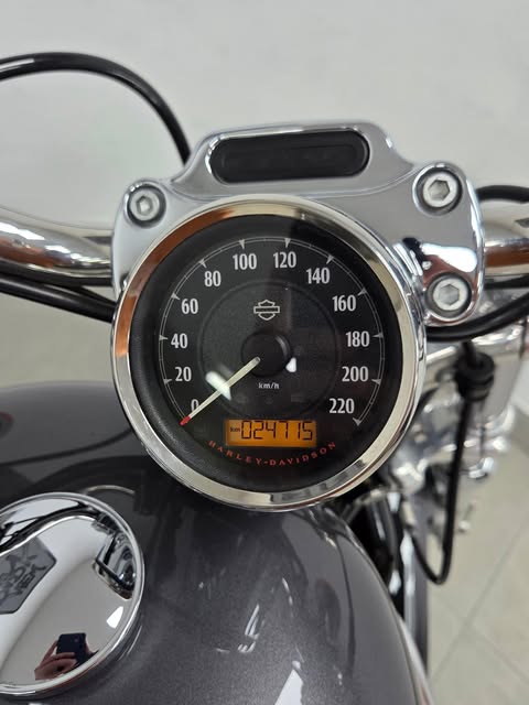 HARLEY-DAVIDSON SPORTSTER XL1200 CUSTOM - Imagem 16
