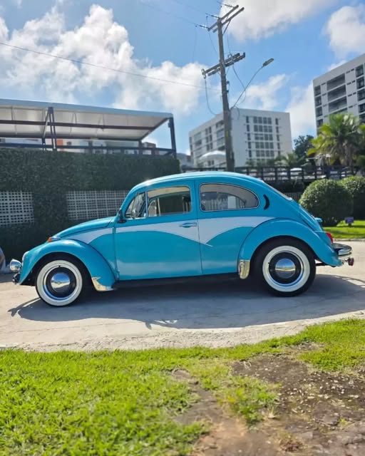 VOLKSWAGEN FUSCA - Imagem 11