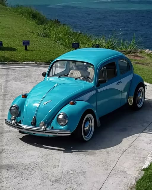 VOLKSWAGEN FUSCA - Imagem 16