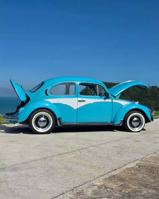 VOLKSWAGEN FUSCA - Imagem 7