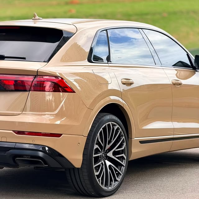 AUDI Q8 PERFORMANCE BLACK - Imagem 14