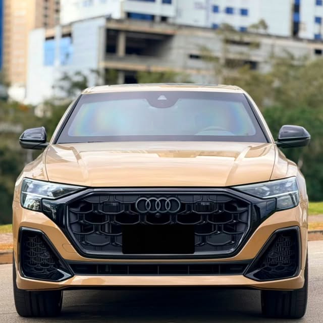 AUDI Q8 PERFORMANCE BLACK - Imagem 6