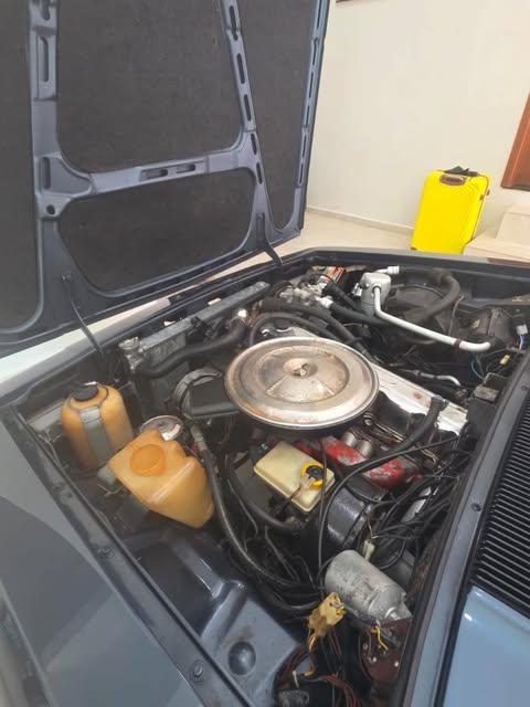 GM CARAVAN DIPLOMATA 250S - Imagem 19