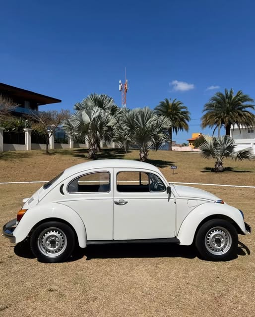 VOLKSWAGEN FUSCA - Imagem 13