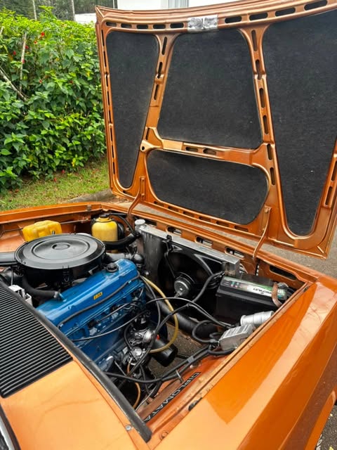 GM OPALA DIPLOMATA - Imagem 18