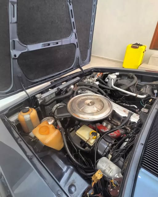 CHEVROLET CARAVAN - Imagem 18