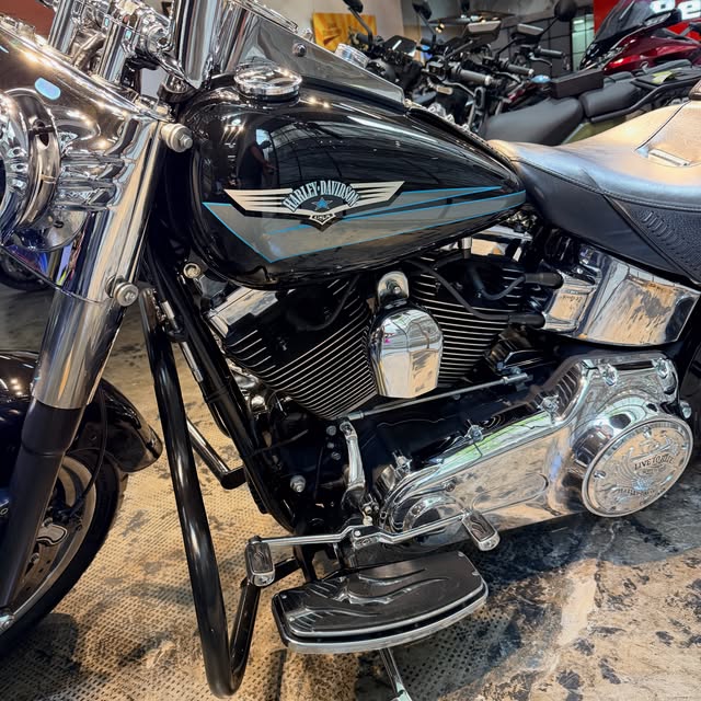 HARLEY-DAVIDSON FAT BOY - Imagem 8