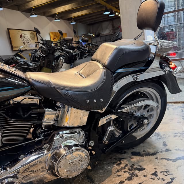 HARLEY-DAVIDSON FAT BOY - Imagem 9