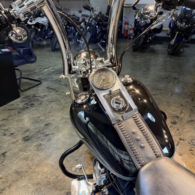 HARLEY-DAVIDSON FAT BOY - Imagem 10