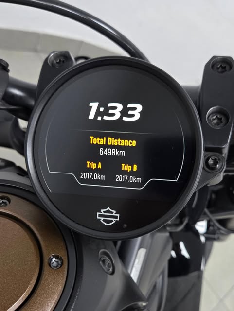HARLEY-DAVIDSON SPORTSTER - Imagem 16