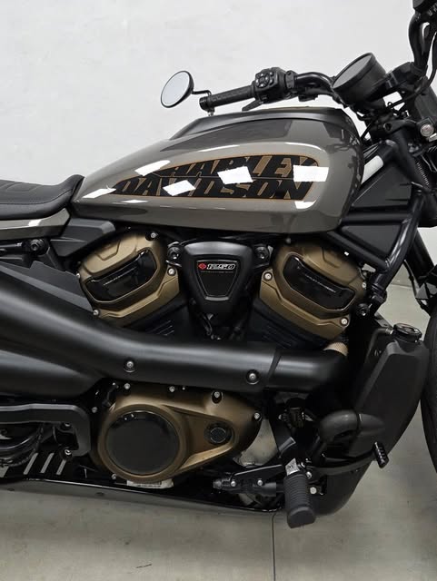 HARLEY-DAVIDSON SPORTSTER - Imagem 6