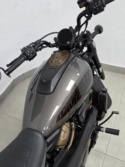 HARLEY-DAVIDSON SPORTSTER - Imagem 8