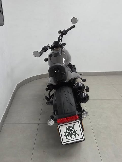 HARLEY-DAVIDSON SPORTSTER - Imagem 9