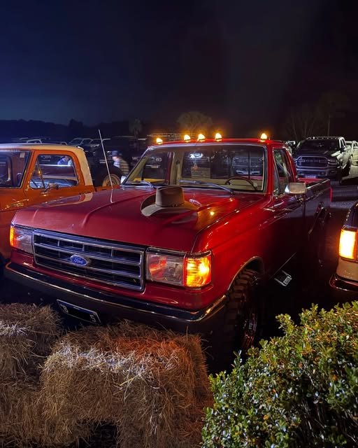 FORD F-1000 SUPER SÉRIE - Imagem 9