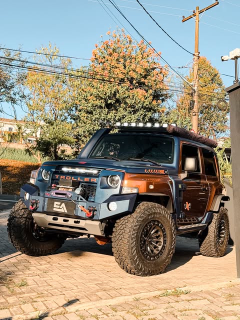 TROLLER TX4 - Imagem 1