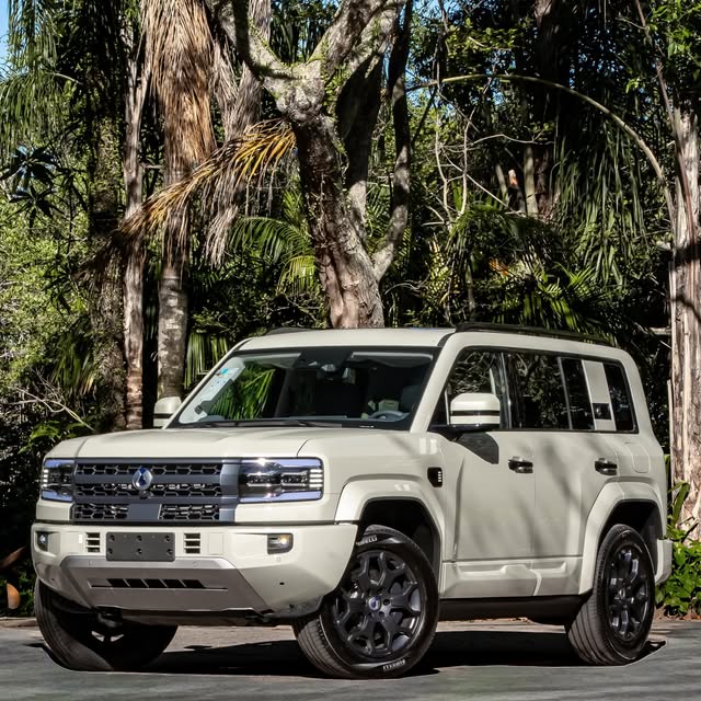 DENZA B5 1.5 TURBO HYBRID - Imagem 5