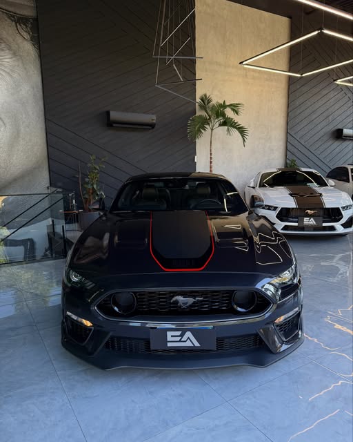 FORD MUSTANG MACH 1 - Imagem 3