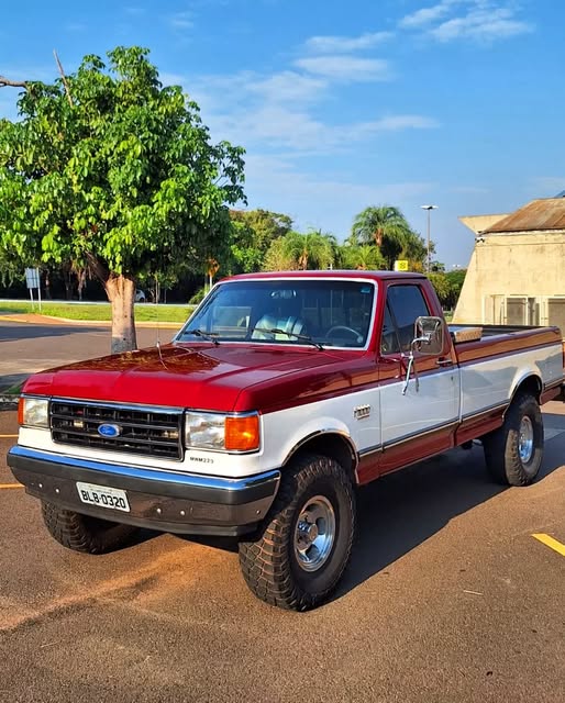 FORD F-1000 - Imagem 2