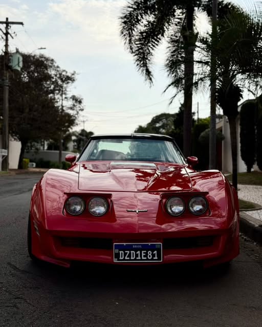 CHEVROLET CORVETTE - Imagem 11