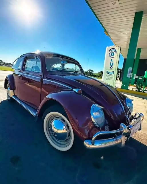 VOLKSWAGEN FUSCA - Imagem 16