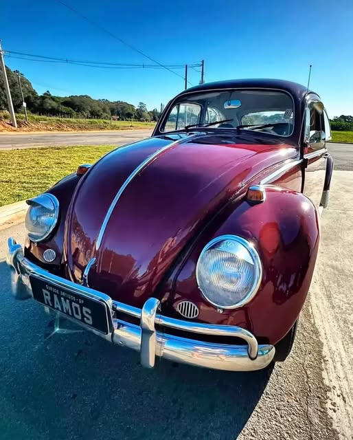 VOLKSWAGEN FUSCA - Imagem 7