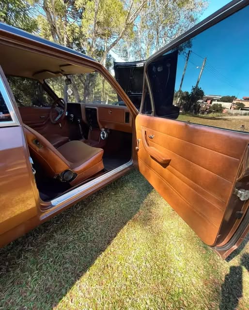 CHEVROLET CARAVAN - Imagem 13