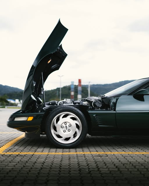 CHEVROLET CORVETTE C4 TARGA - Imagem 16