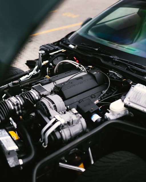 CHEVROLET CORVETTE C4 TARGA - Imagem 17
