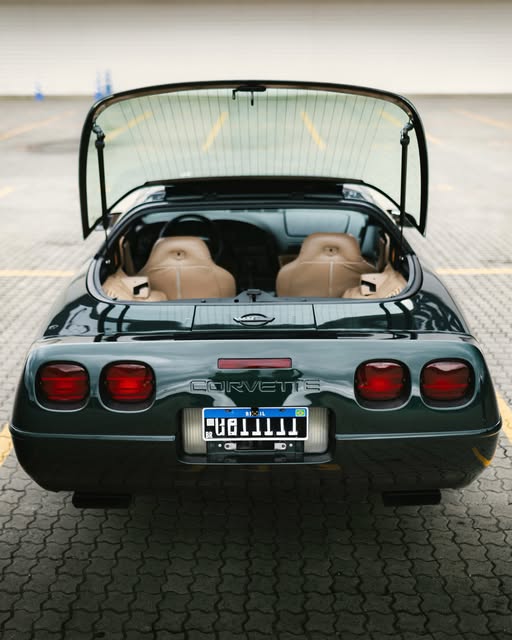 CHEVROLET CORVETTE C4 TARGA - Imagem 5