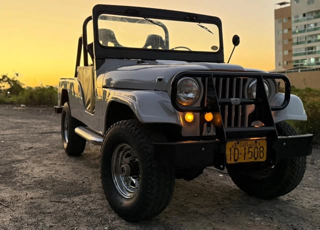 JEEP WILLYS - Imagem 2