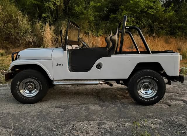 JEEP WILLYS - Imagem 4